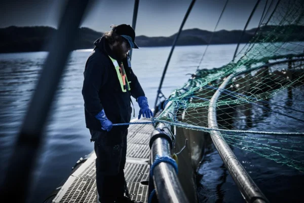 Hanske CHEMSTAR kjemikalie nitril 11