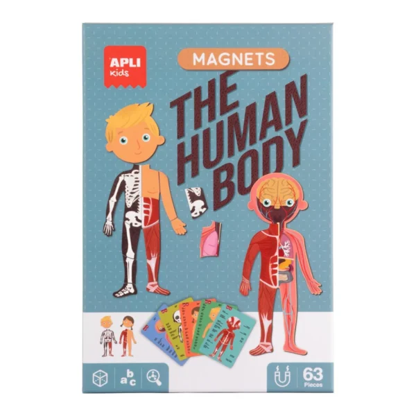 Spill APLI Menneskekroppen magnet