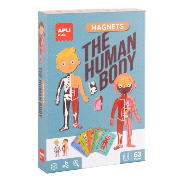 Spill APLI Menneskekroppen magnet