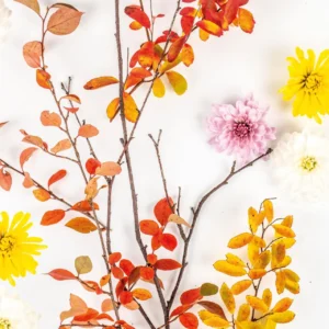 Serviett PAPERDESIGN 33cm Autumn B (20)