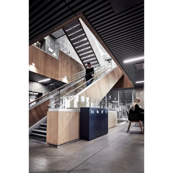 Avfallsbeholder BICA 874 2x65 antrasitt