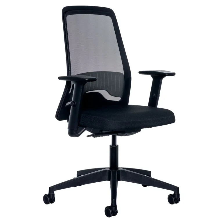 Kontorstol INTERSTUHL 172E4 mesh sort