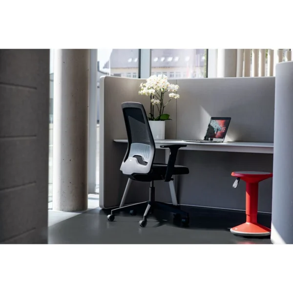 Kontorstol INTERSTUHL 172E4 mesh sort