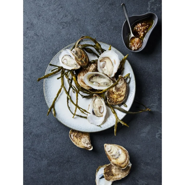 Tallerken CONGUSTO Bright porselen 20cm - Bilde 2