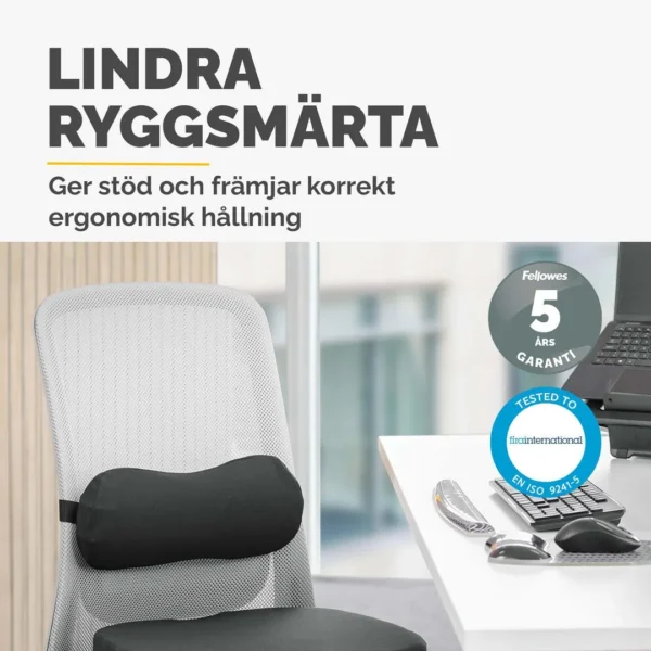 Ryggstøtte FELLOWES Breyta lumbar