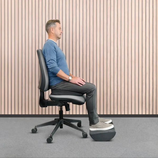 Sittepute FELLOWES Breyta comfort