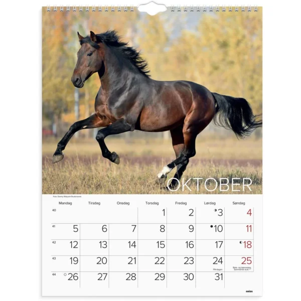 Veggkalender GRIEG 2026 Hester