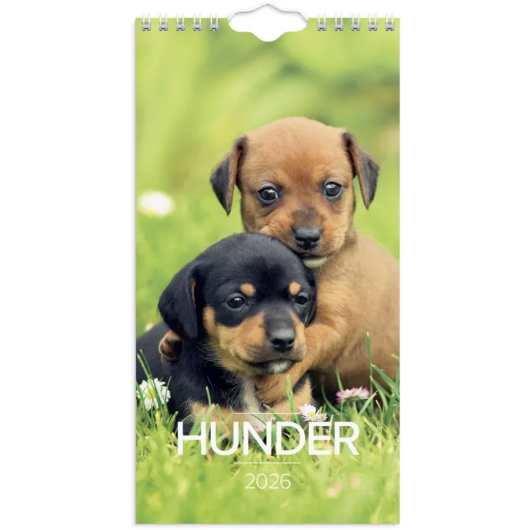 Veggkalender GRIEG 2026 Hunder Mini