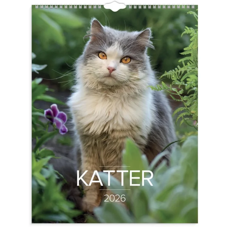 Veggkalender GRIEG 2026 Katter
