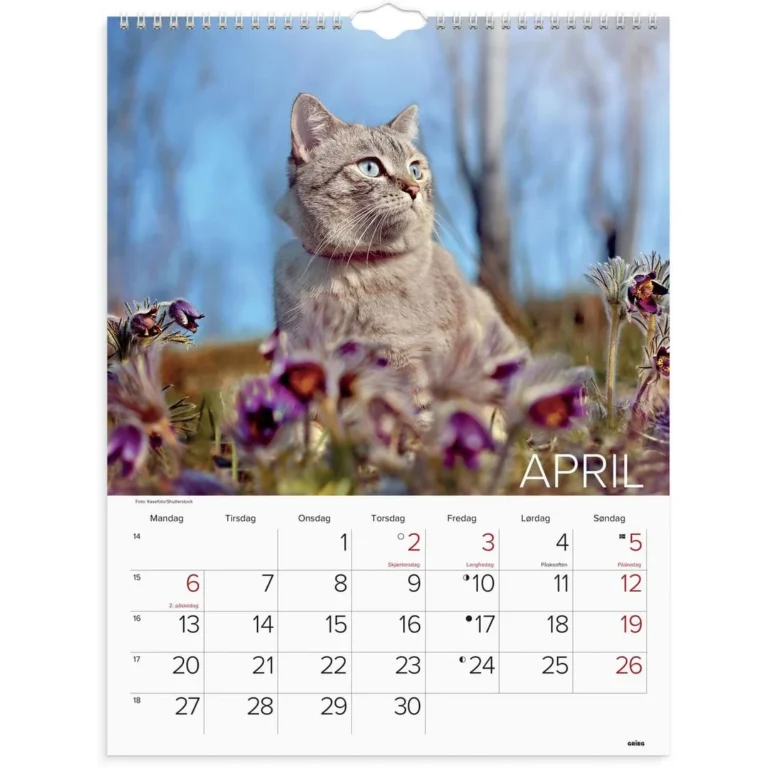 Veggkalender GRIEG 2026 Katter - Bilde 2