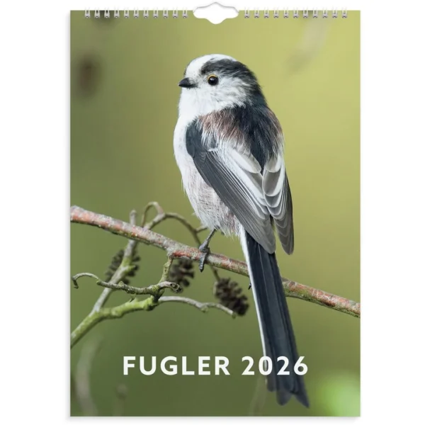 Veggkalender GRIEG 2026 Fugler