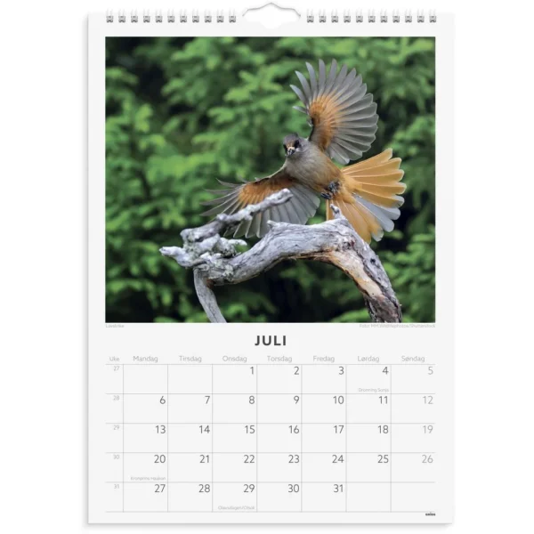 Veggkalender GRIEG 2026 Fugler