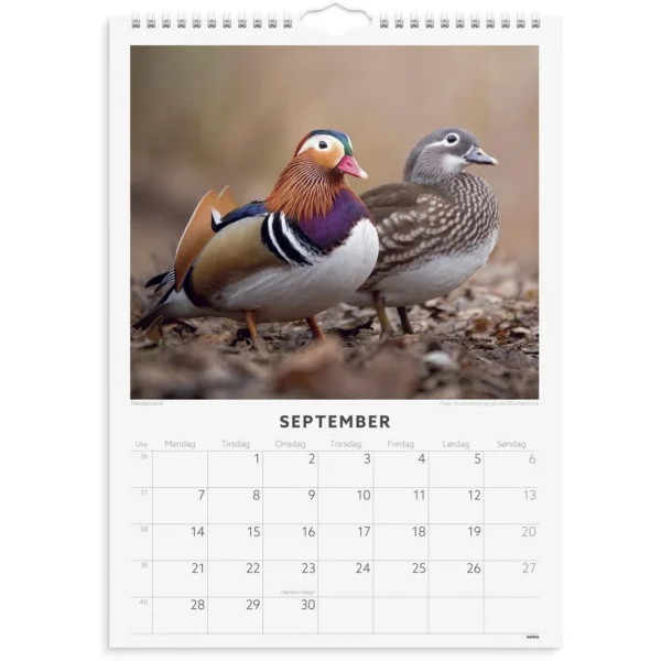 Veggkalender GRIEG 2026 Fugler