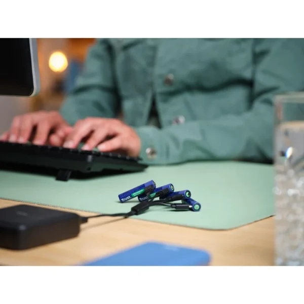 Batteri TRUST USB-C Oppladbare AAA (4)