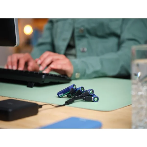 Batteri TRUST USB-C Oppladbare AA (4)