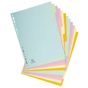 Skilleblad EXACOMPTA FOREVER A4 12-delt