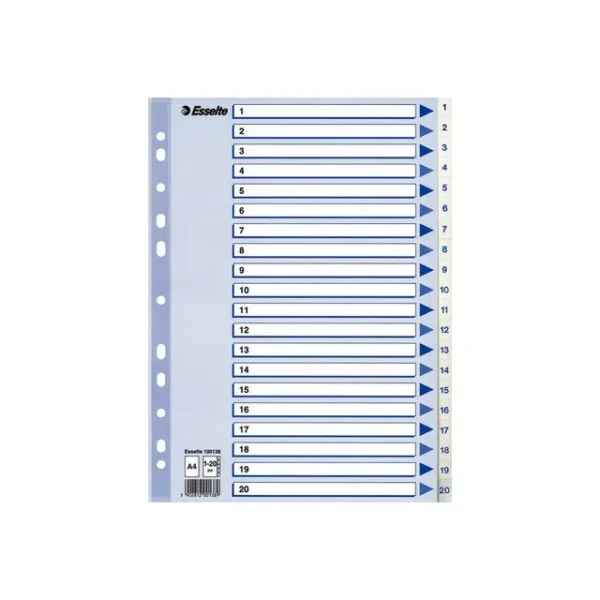 Register ESSELTE A4 plast 1-20 blå/hvit
