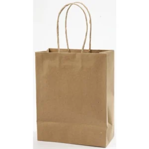 Papirpose 23x18x9cm med hank natur (10)
