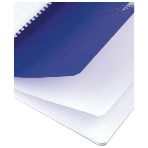 Notatbok OXFORD MyColours A4 rut ass frg