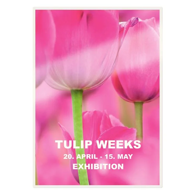 Lamineringslomme LEITZ A3 UDT 125my (25) - Bilde 4