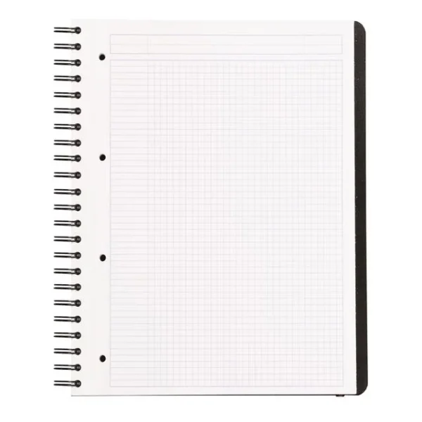 Spiralbok RHODIA Active probook A4+ rute