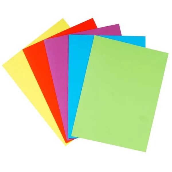 Aktomslag EXACOMPTA Twin-pocket ass(25)