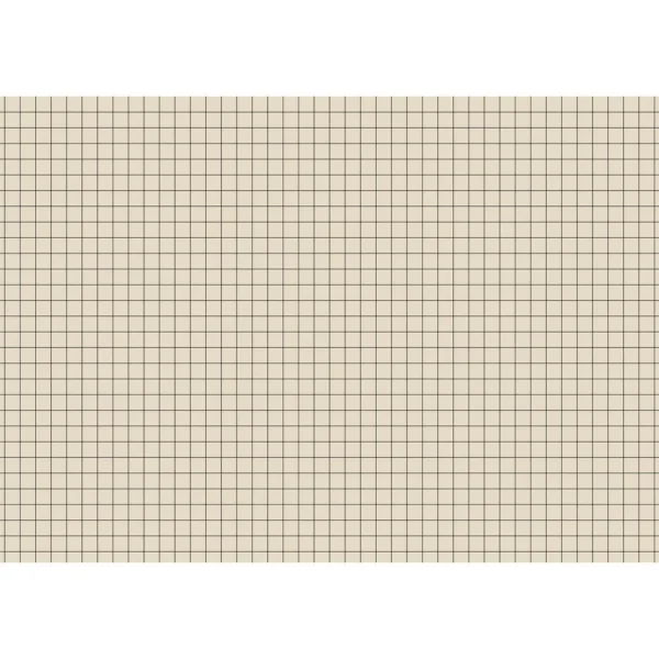 Arbeidsbok A4 80g 10x10 rutet