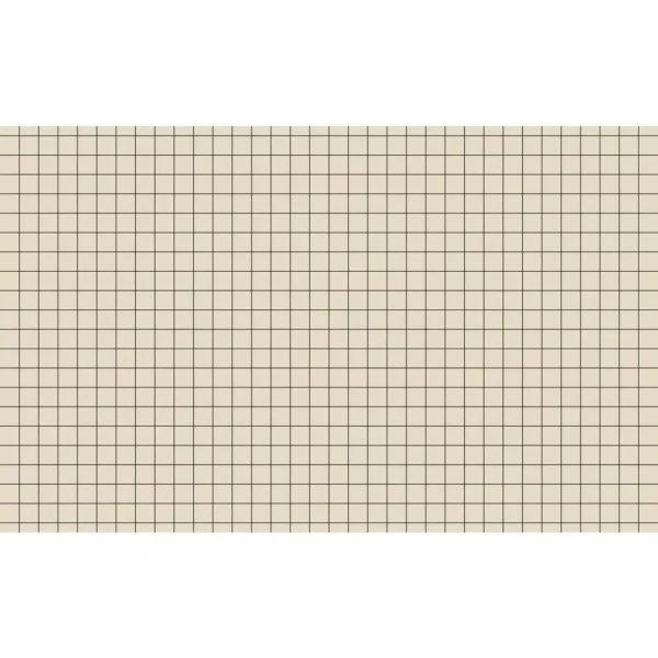 Arbeidsbok 17x21 80g 10x10 rutet