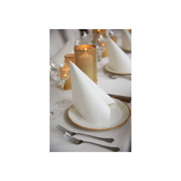 Serviett DUNILIN 48cm Hvit Duni (36)