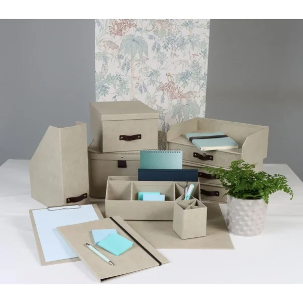 Tidsskriftsamler BIGSO Estelle lin