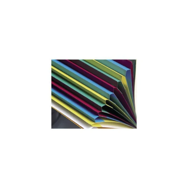 Sorteringsmappe EXACOMPTA 425g 7delt