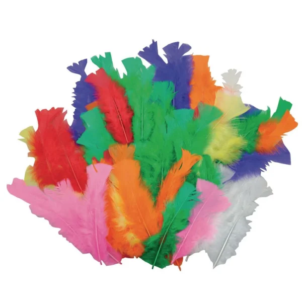 Kalkunfjær PLAYBOX (60)