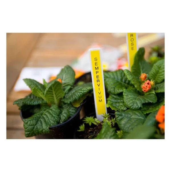 Tape BROTHER TZe-631 12mmx8m sort/gul