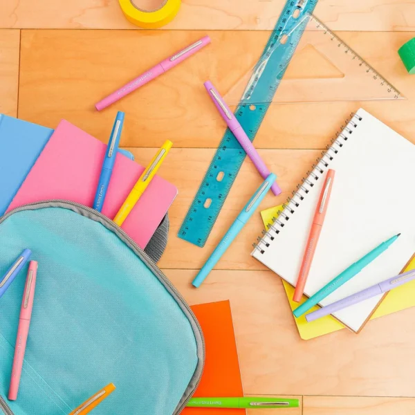 Fiberpenn PAPERMATE ass pastell farg (6)