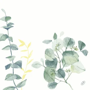 Serviett DUNISOFT 40cm Spire (60)