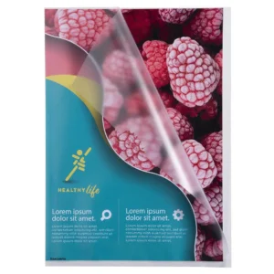 Plastomslag EXACOMPTA A4 120my klar (10)