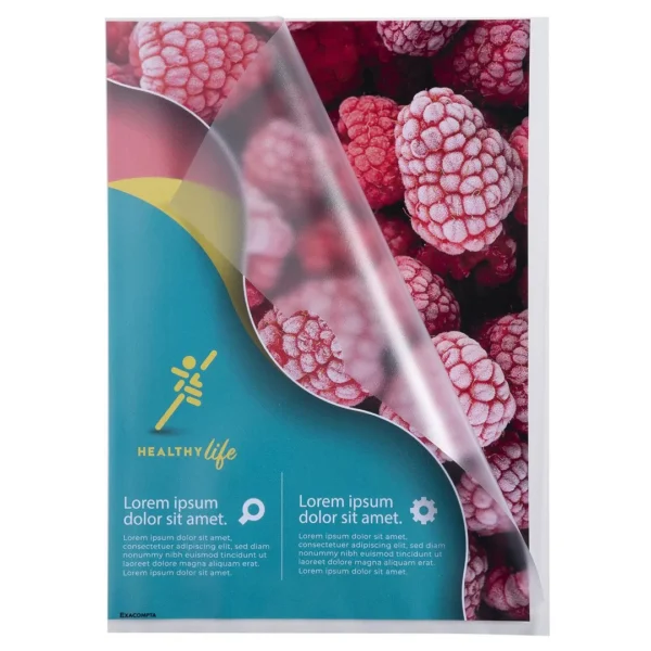Plastomslag EXACOMPTA A4 120my klar (10)